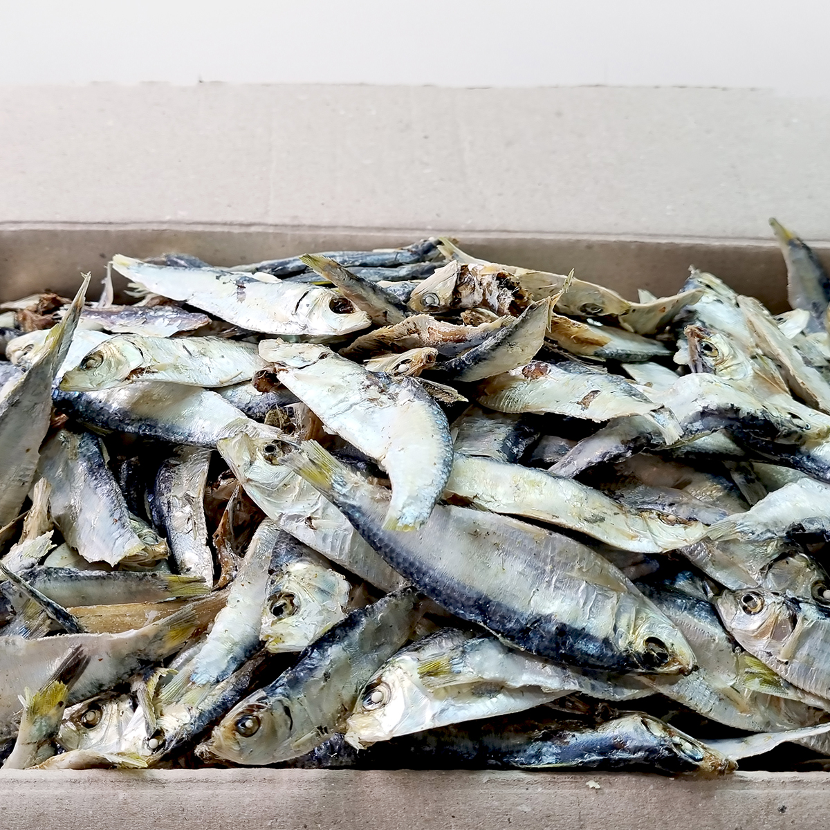 국내산 디포리 (중급) 육수 멸치 1.5kg 한박스 남해 다시 국물 육수용 멸치 밴댕이 - 상세 이미지 4