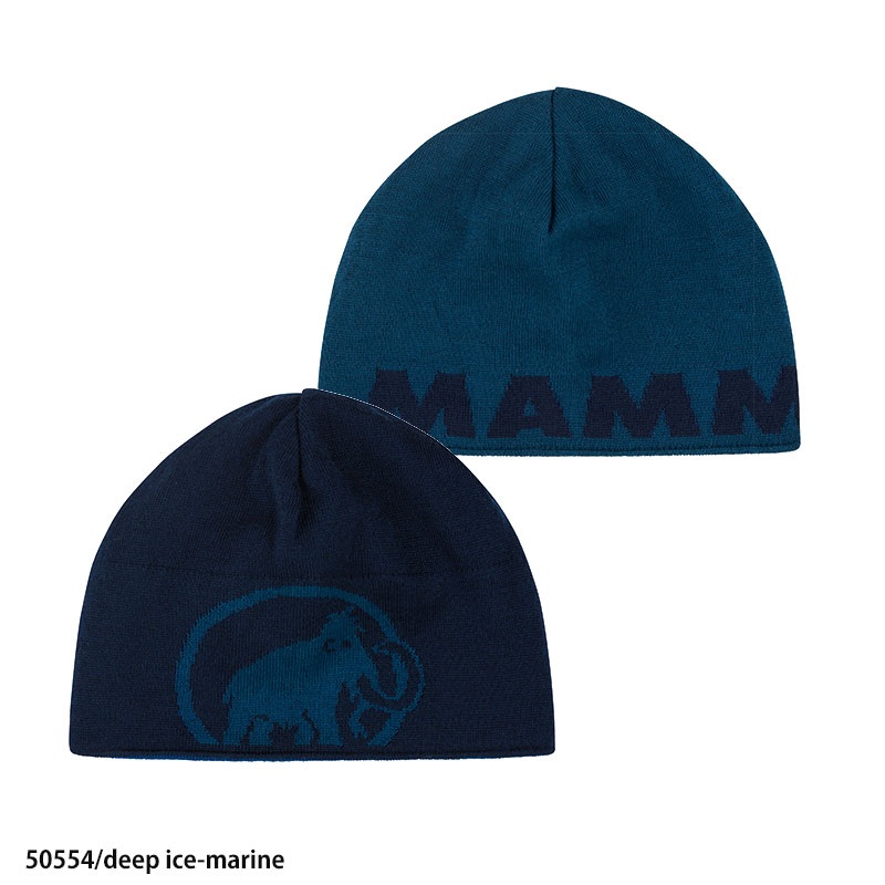 마무트 남성 여성 겨울 로고 비니 MAMMUT 4color - 상세 이미지 3