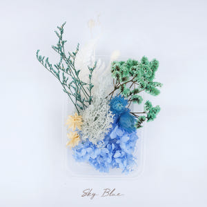 드라이 프리저브드 플라워 말린꽃 시들지 않는 꽃 프레스코21 보존화 종합... 실사용 후기 | 효과 있을까? - 상품 이미지 4