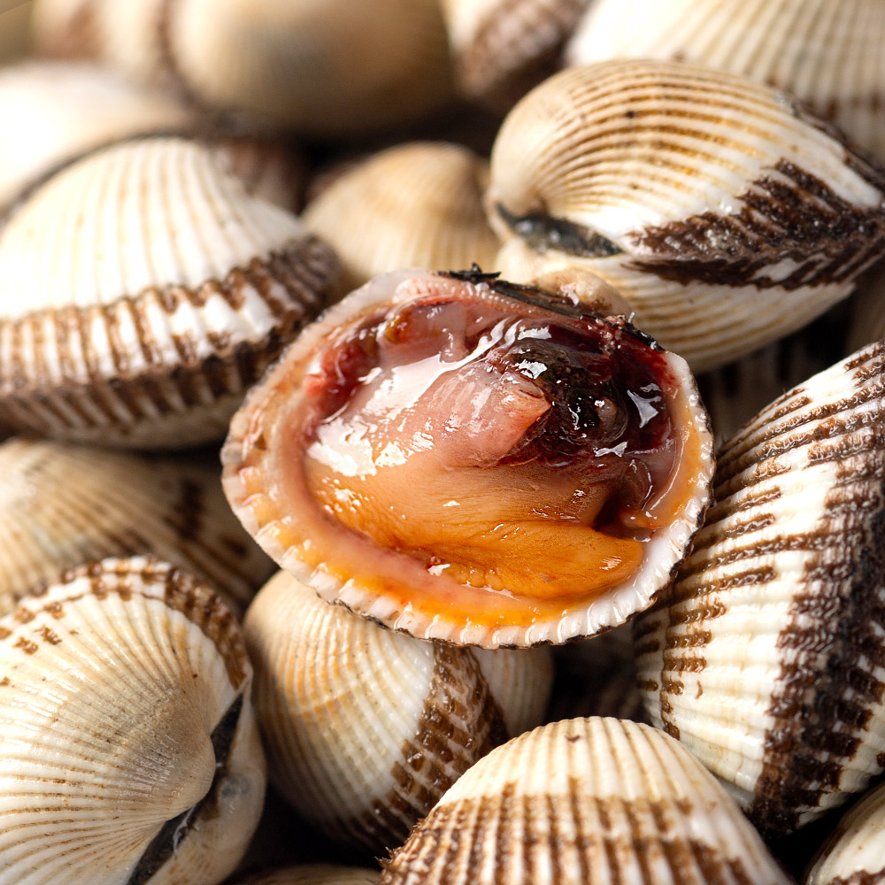 국내산 벌교 새꼬막 1kg 꼬막 제철 조개