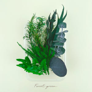 드라이 프리저브드 플라워 말린꽃 시들지 않는 꽃 프레스코21 보존화 종합... 실사용 후기 | 효과 있을까? - 상품 이미지 3