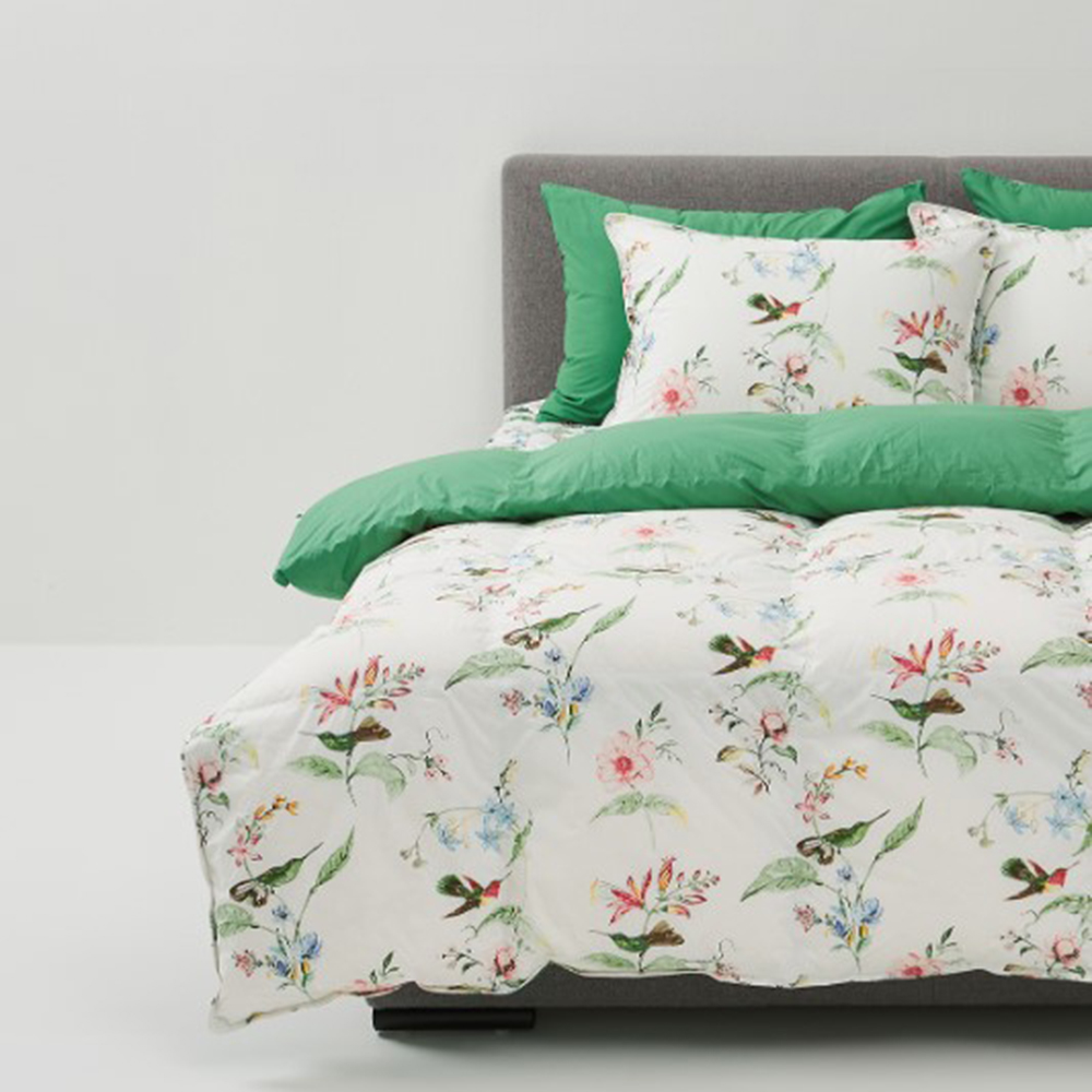 레노마 홈 로페구스 차렵이불 80수 고밀도면100% 폴란드구스솜