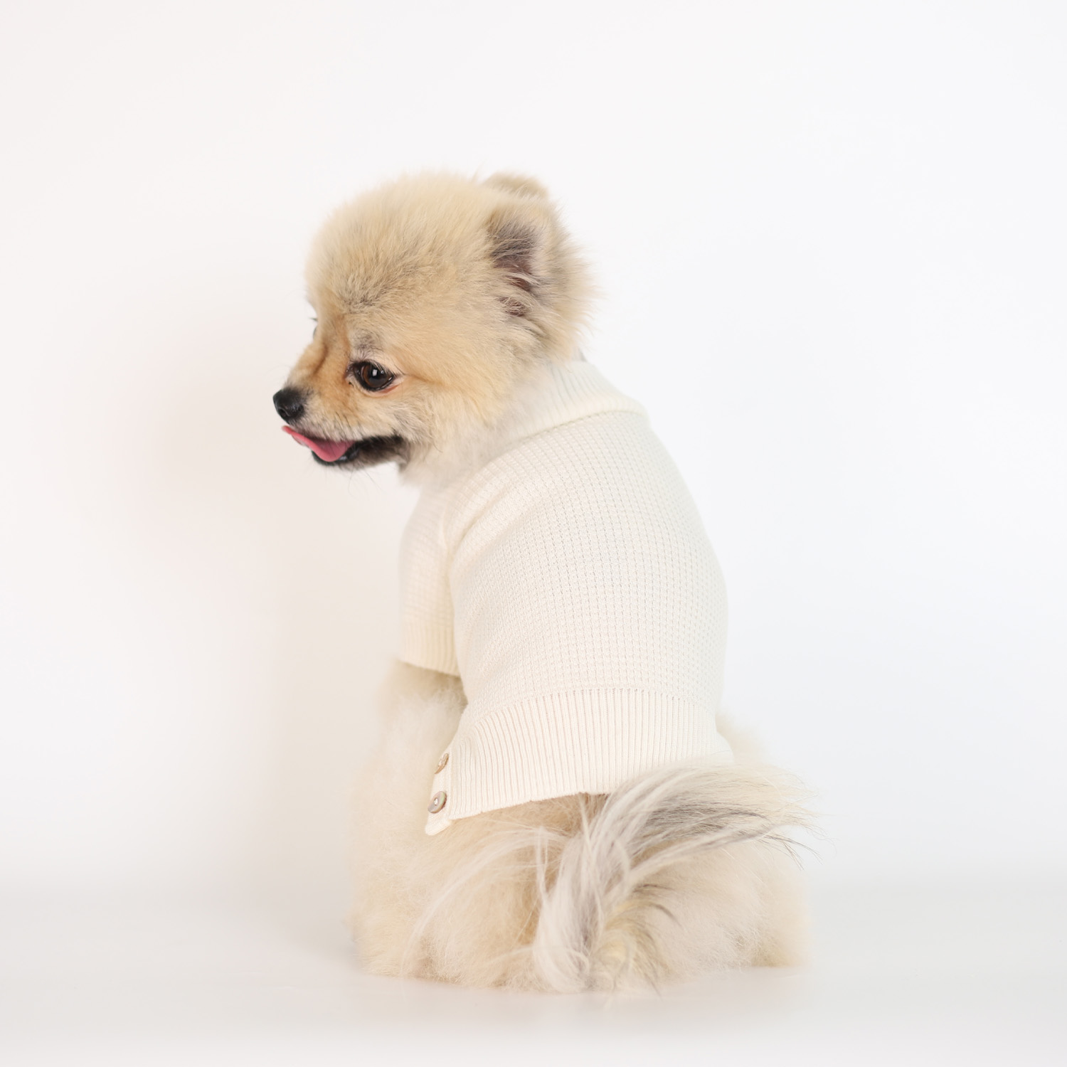 강아지 울니트 몽루 허니컴