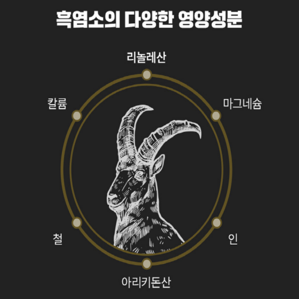 흑염소진액 즙 흙염소진액 70ml 30포 - 상세 이미지 5