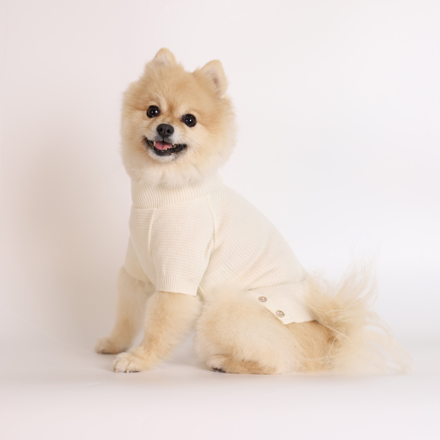 강아지 울니트 몽루 허니컴