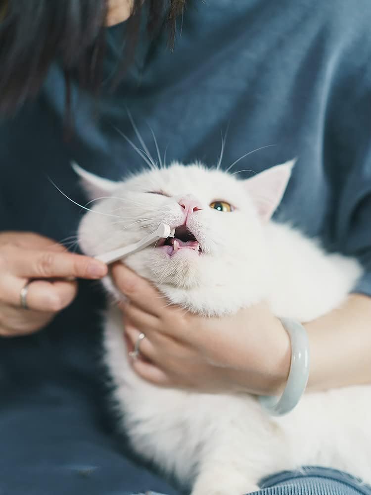 일본 마인드업 네코쿠치케어 고양이 입 케어 칫솔 마이크로 헤드 - 상세 이미지 4