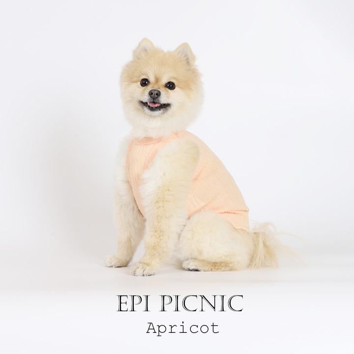강아지옷 에피 피크닉(EPI PICNIC) - 상품 이미지