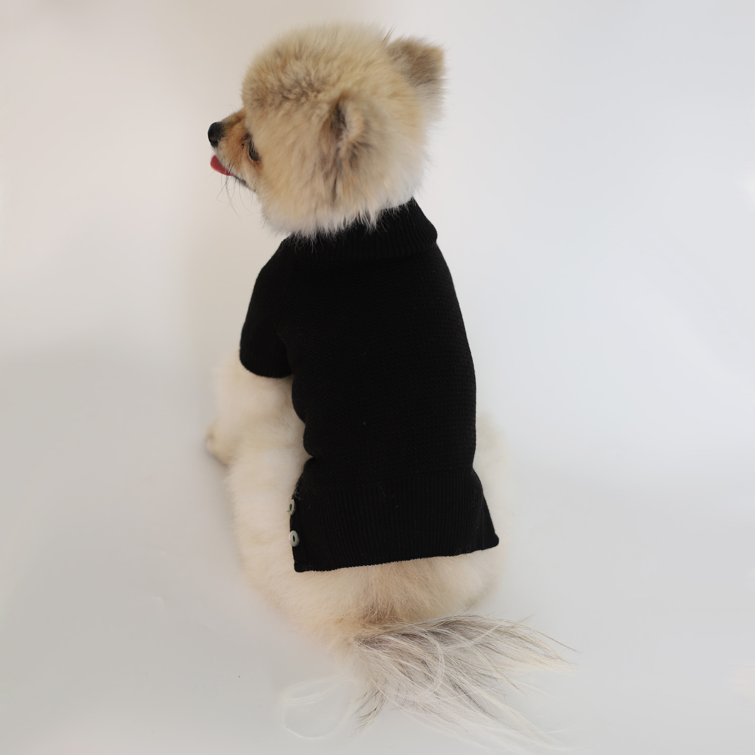 강아지 울니트 몽루 허니컴