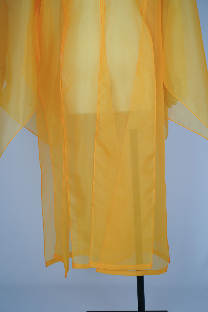DSC08942.jpg