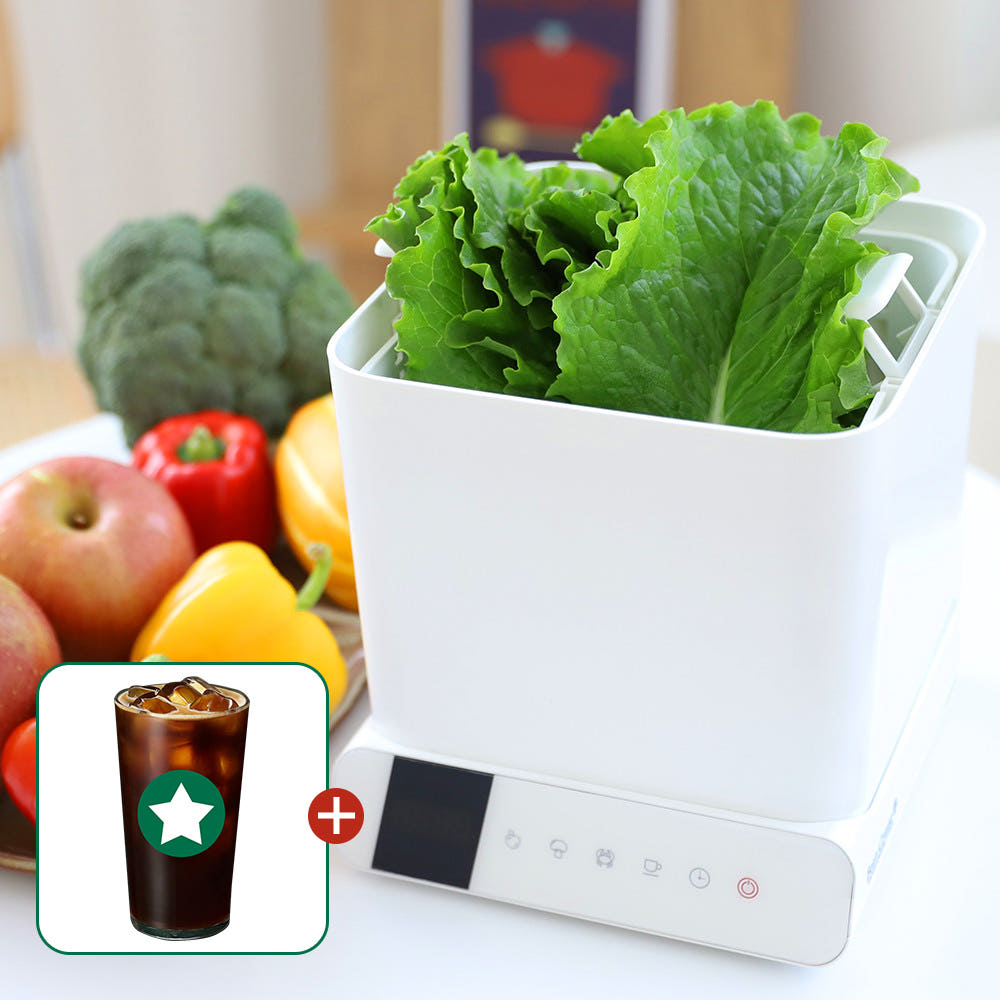 비안크루세 초음파 세척기 사용 모습