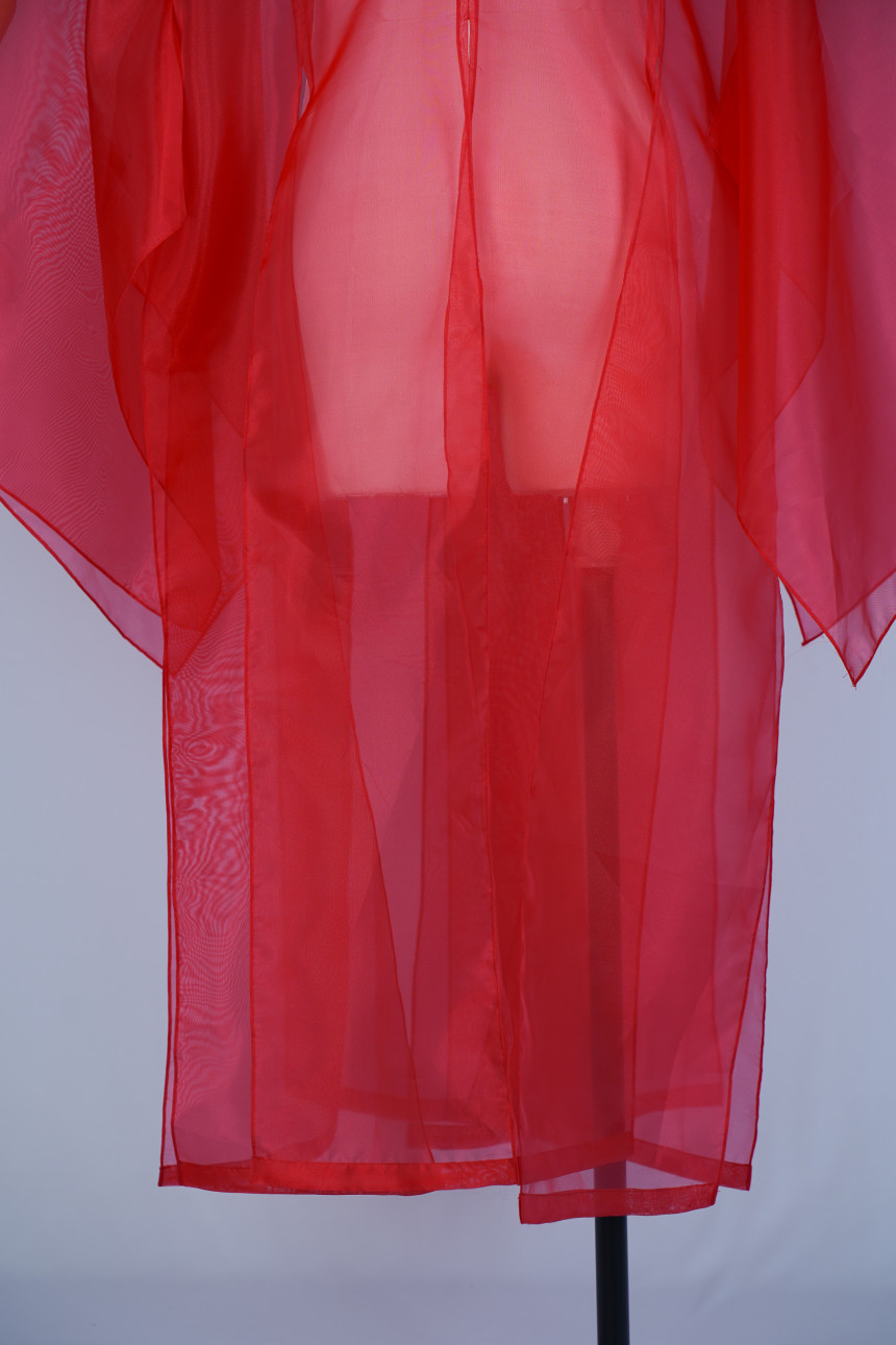 DSC08975.jpg