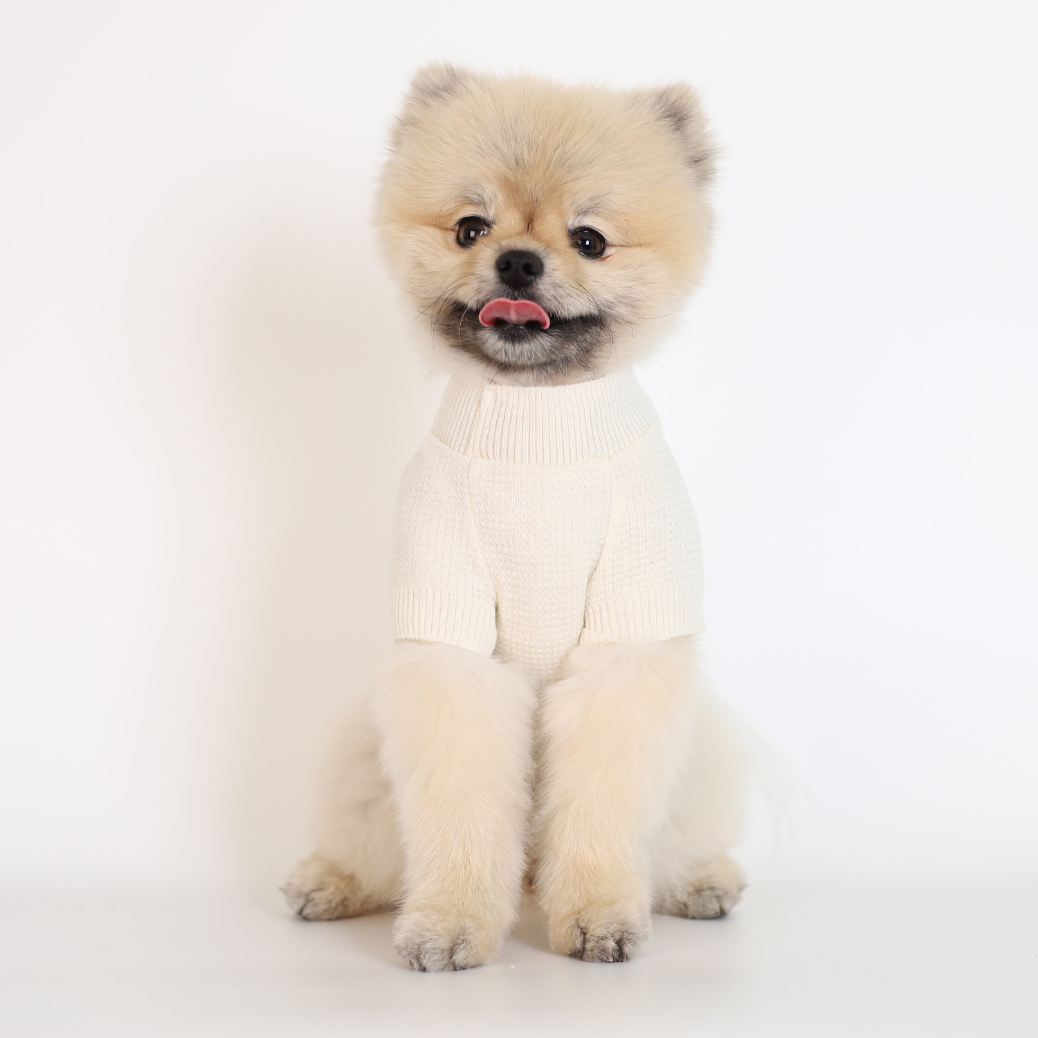 강아지 울니트 몽루 허니컴