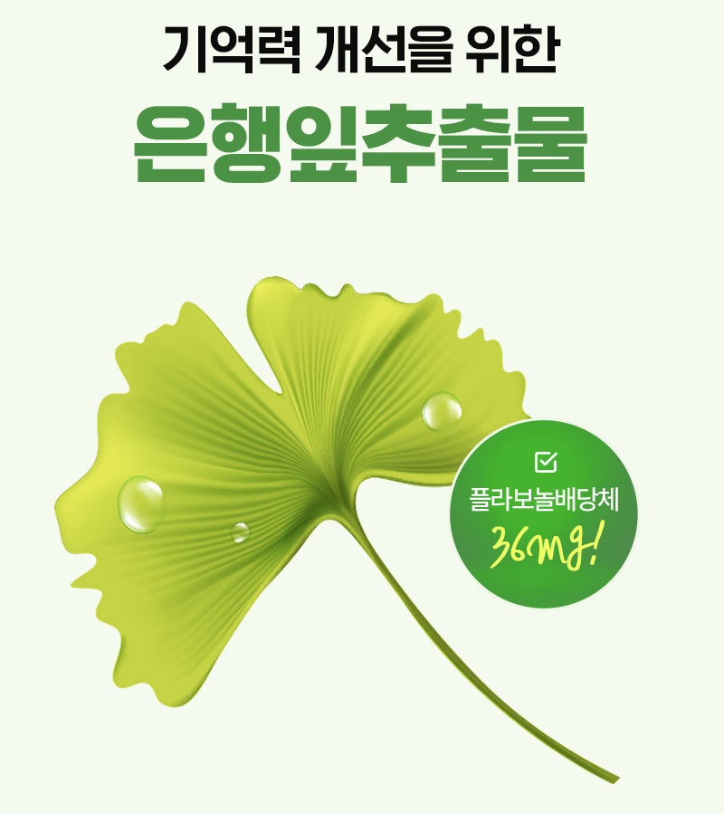 휴온스 오큐징코큐텐 코엔자임Q10 은행잎추출물 rTG오메가3 120캡슐 6개 - 상세 이미지 3