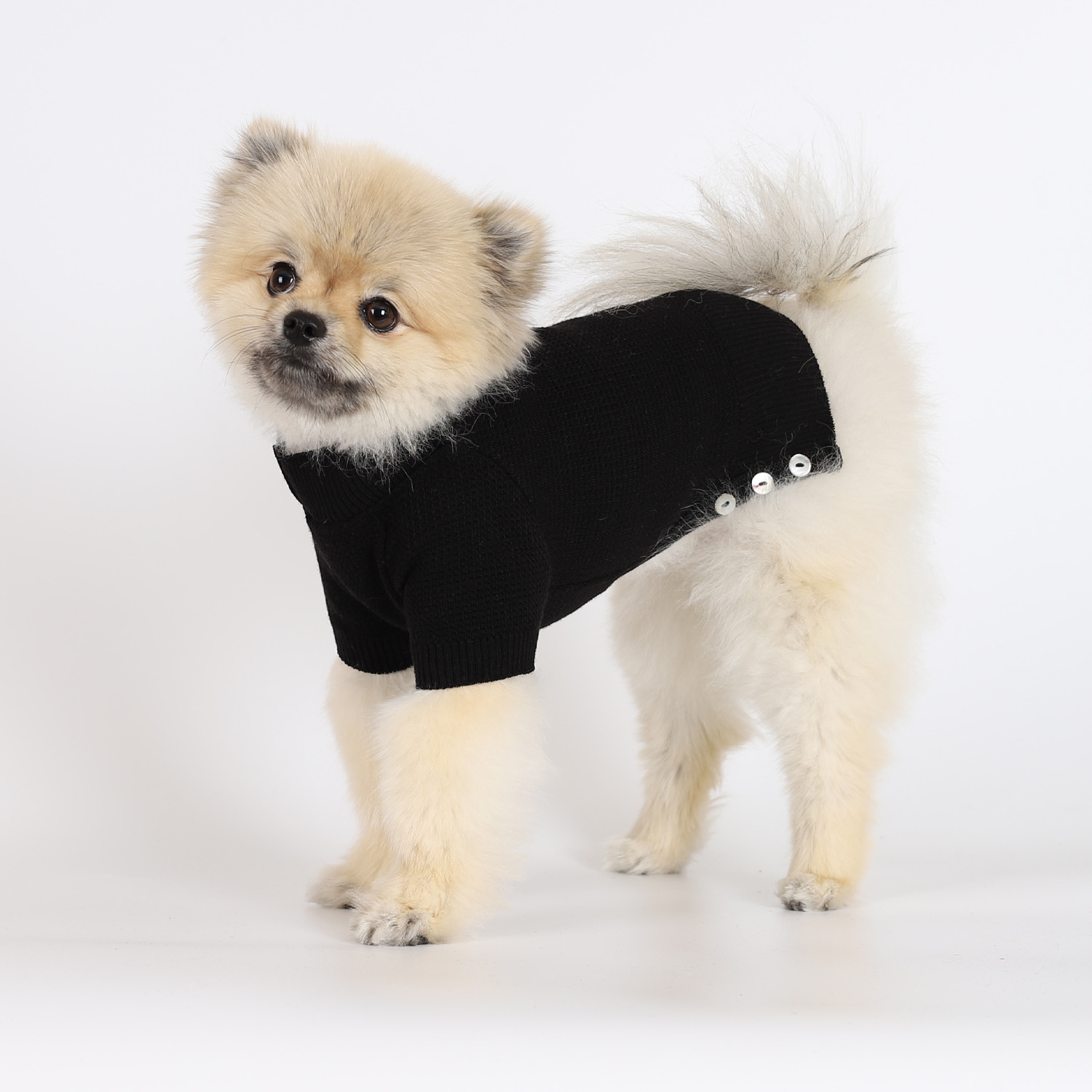 강아지 울니트 몽루 허니컴