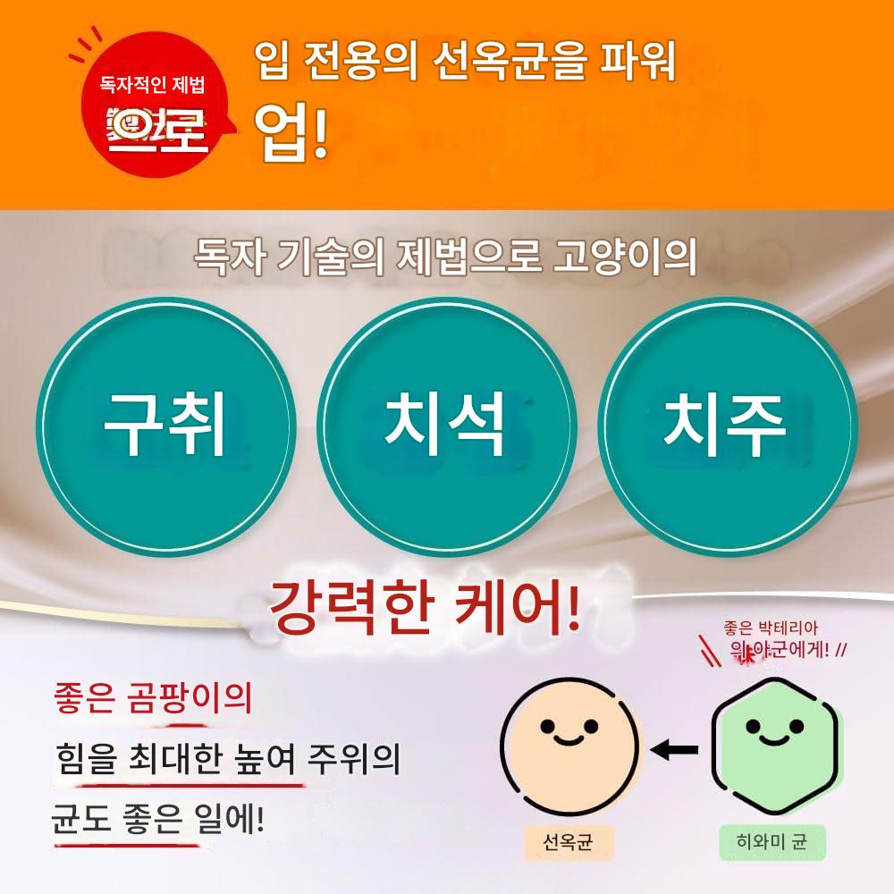 일본 프로바이오 덴탈 고양이 구강 케어 치약 보충제 파우더 1봉지 30일분 이미지 7