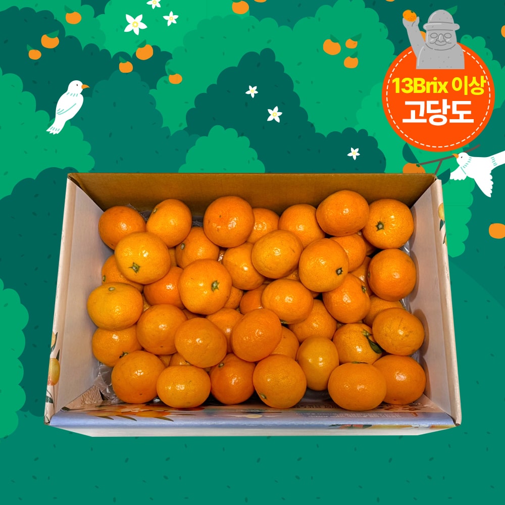 [석희농장] 성목이식 타이벡 감귤 2.5kg(로얄과) 13Brix 당도높은귤 제주도 서귀포 - 상품 이미지