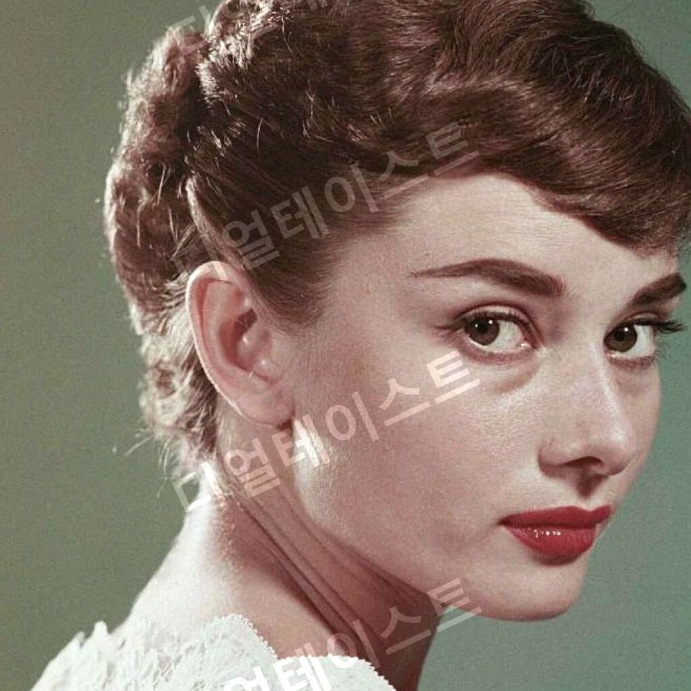 오드리햅번 Audrey Hepburn 인테리어 그림 일러스트 액자 포스터 - 상품 이미지