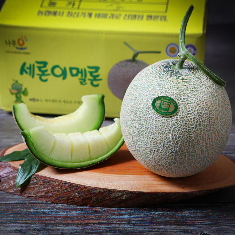 고당도 멜론 세지 멜론, 장보남 멜론 후기, 멜론 선물 추천, 맛있는 멜론 고르는 법
