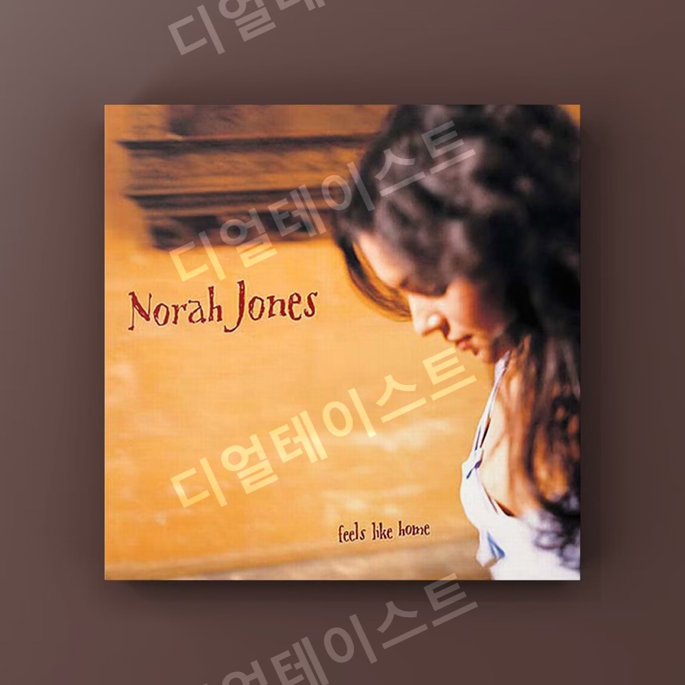 노라 존스 Norah Jones 앨범 표지 인테리어 그림 일러스트 액자 포스터 - 상세 이미지 4