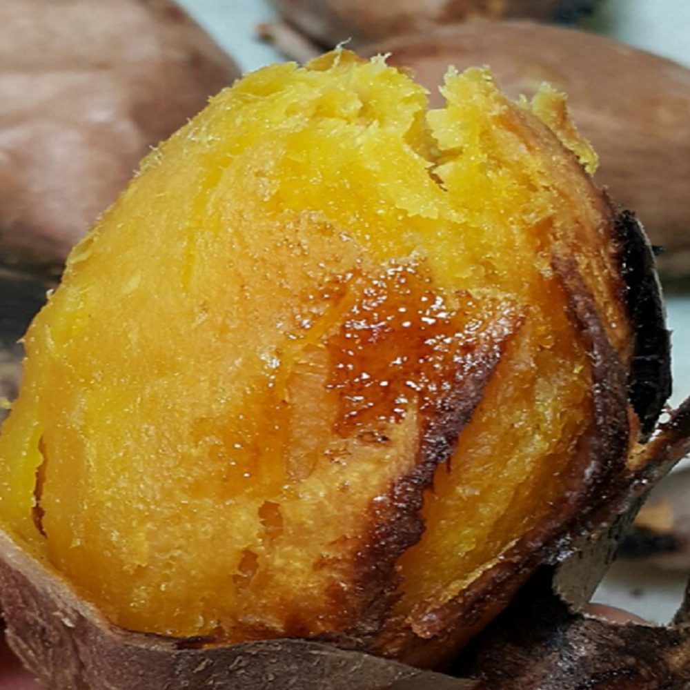 여주 꿀 고구마 호박 밤 고구마 베니하루카 장풍농원