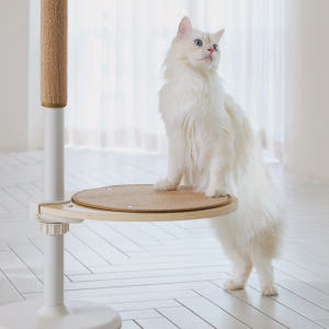 내핑하우스 캣타워 캣폴 고양이 원목 대형 캣스텝 튼튼한 먼치킨 스크래쳐 ... 솔직 후기 | 실제 사용자 리뷰 총정리 - 상품 이미지 4