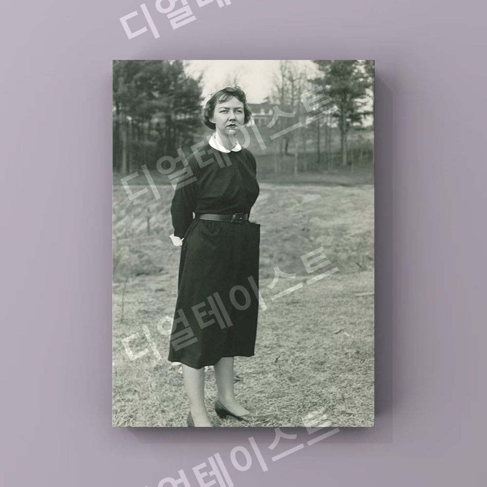플래너리 오코너 인테리어 그림 일러스트 액자 포스터 - 메인 이미지