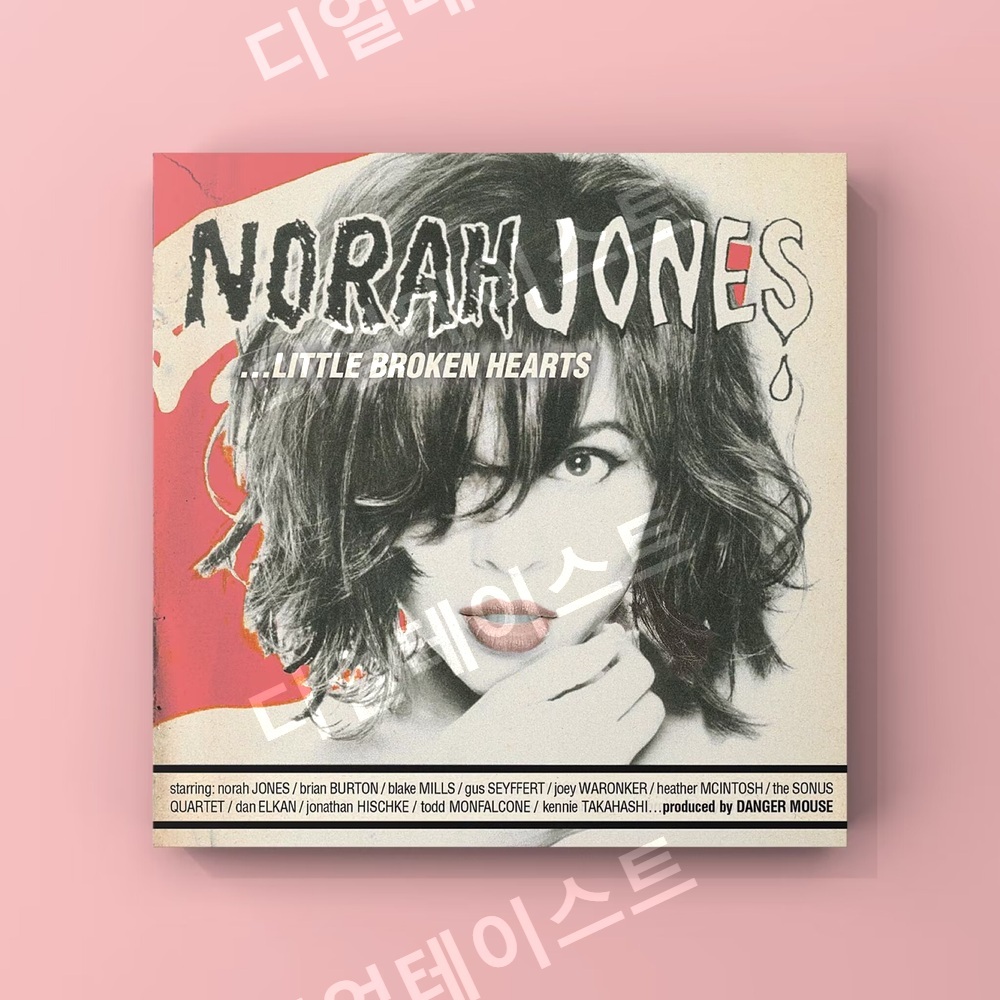 노라 존스 Norah Jones 앨범 표지 인테리어 그림 일러스트 액자 포스터 - 상세 이미지 3