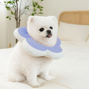 강아지 넥카라 플라워 방수 초경량 M 솔직 후기 | 실제 사용자 리뷰 총정리 - 상품 이미지 2