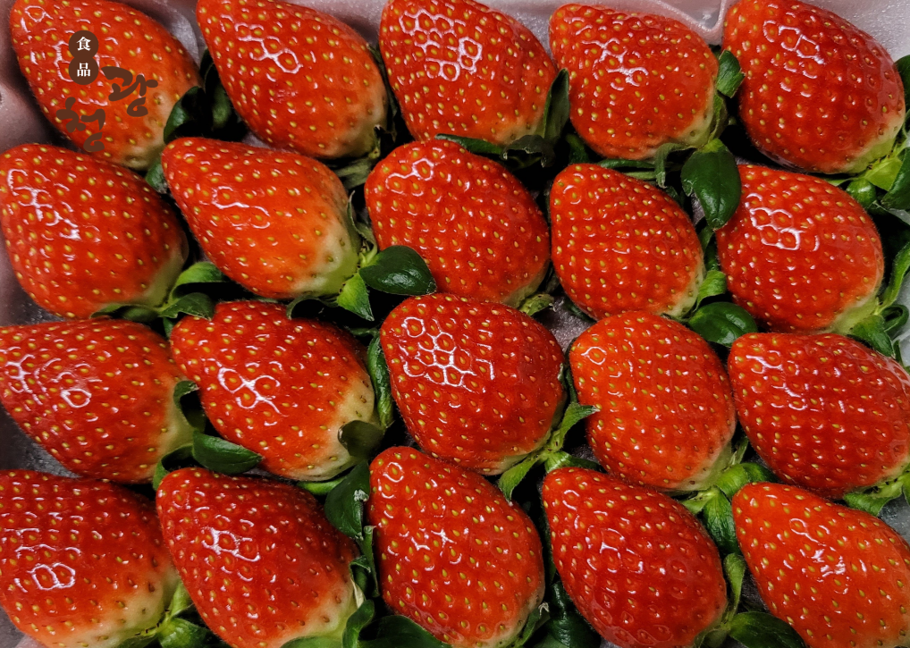 딸기 설향 금실 산청 프리미엄 생딸기 제품 이미지