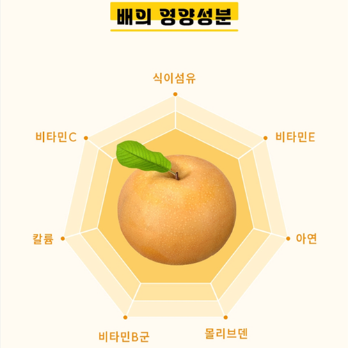 고이담은 프리미엄 배도라지 스틱 10ml 100포 2개 즙 액기스 환절기 목 기관지 건강 - 상세 이미지 5