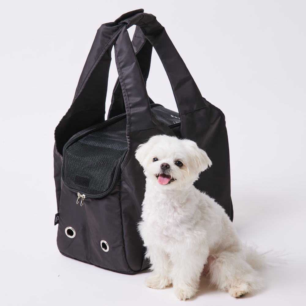 3651 이지캐리백 강아지 가방 고양이 이동장 캐리어 차콜, 대형