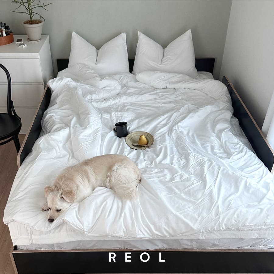 사계절 이불 알러지케어 차렵 겨울이불 침구 무봉제 단품 S