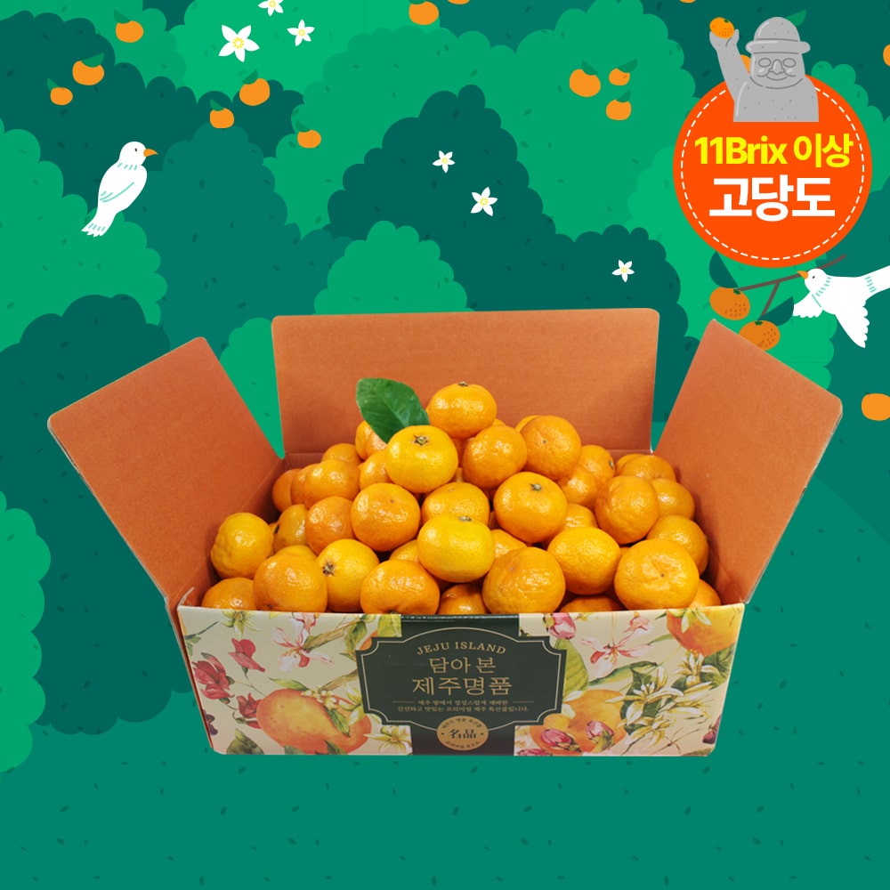 [석희농장] 타이벡 감귤 4.5kg(로얄과) 11Brix 당도높은귤 제주도 서귀포 - 상품 이미지