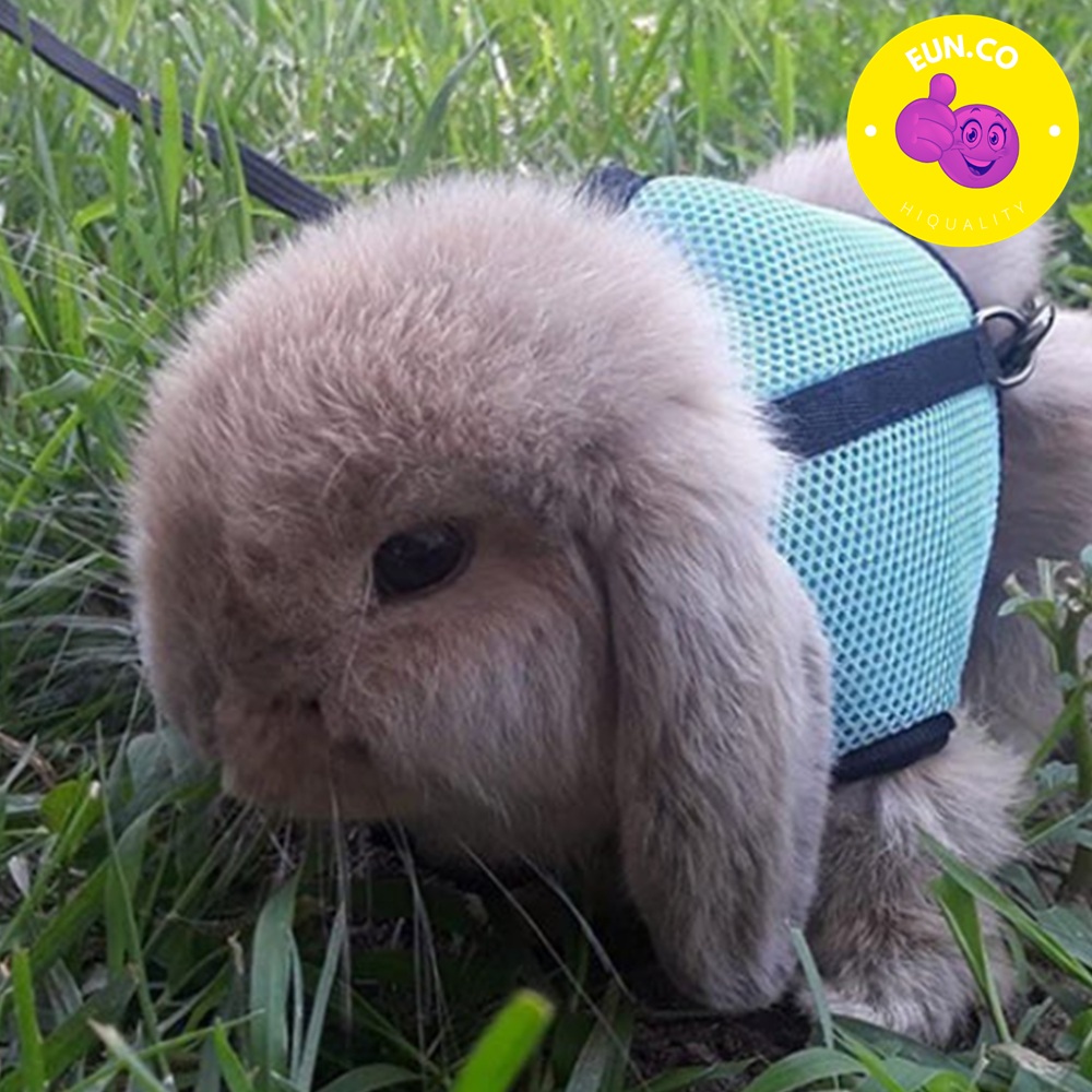 토끼 산책용 줄 가슴 벨트 야외활동 실외배변 - 상품 이미지