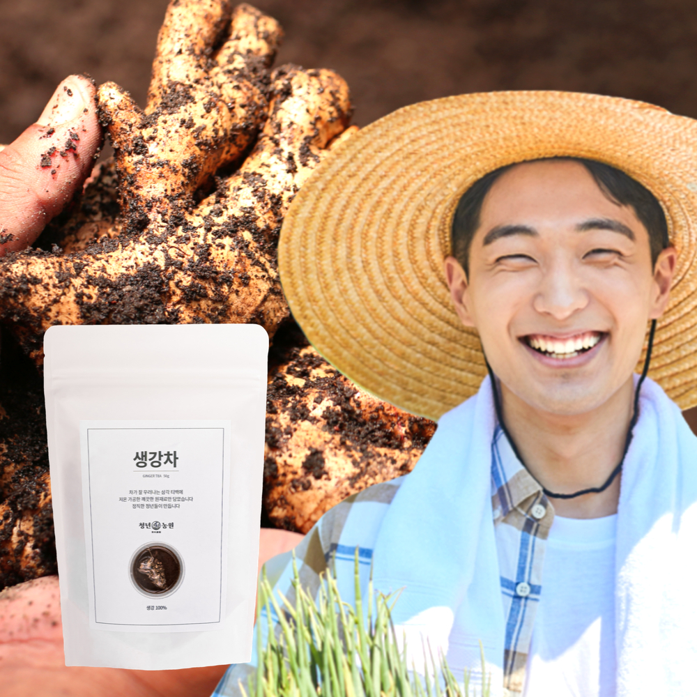[청년농원] 생강차 카페인 없는 임산부 국산 말린 생강 생분해 티백 감기 효능
