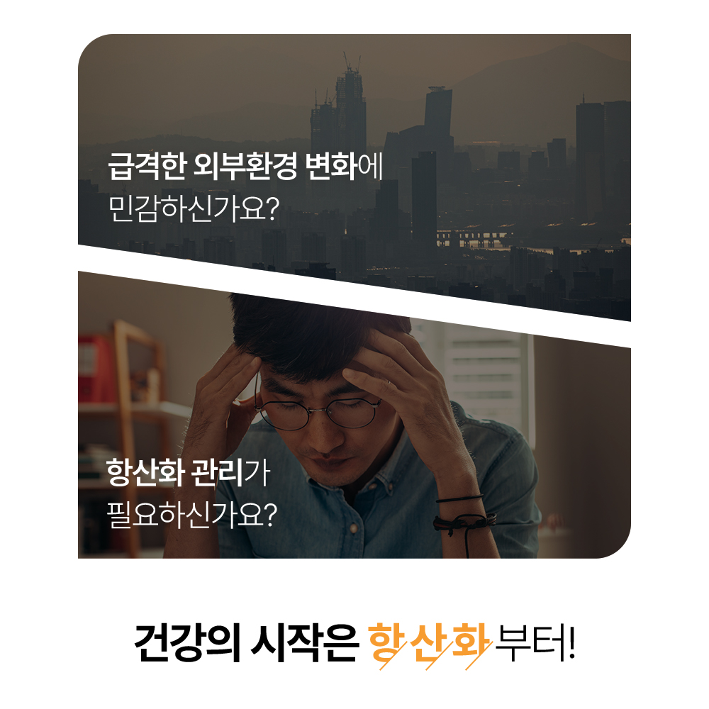 솔티스 프로폴리스 프로 아연 항산화 면역 기능 비타민 30캡슐, 2개 - 상세 이미지 2