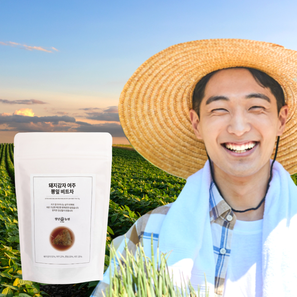 돼지감자차 여주차 뽕잎 레드 비트차 여주 상엽 효능 차 청년농원 티백