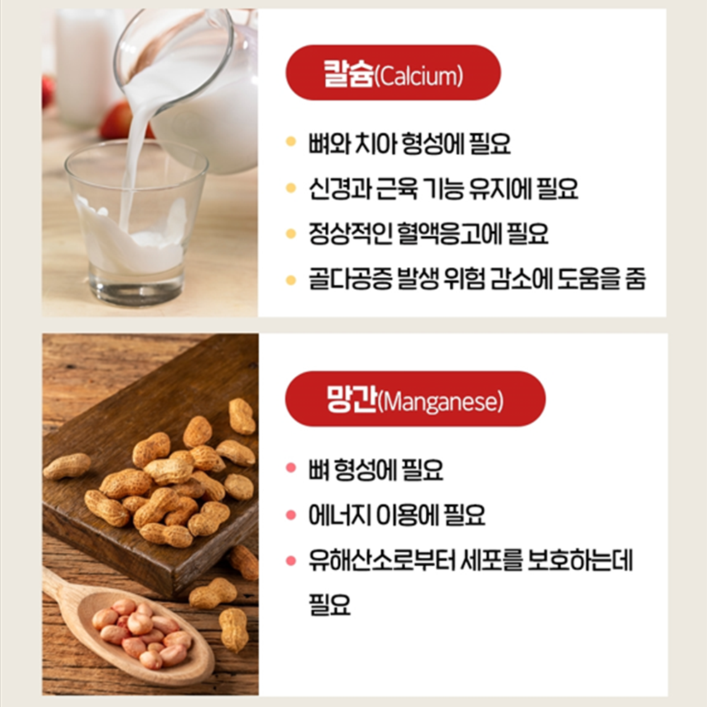 뼈 치아 건강 인사프로큐 60정 2박스 3세트 12개월 프로폴리스 칼슘 망간 비타민C 이미지 6