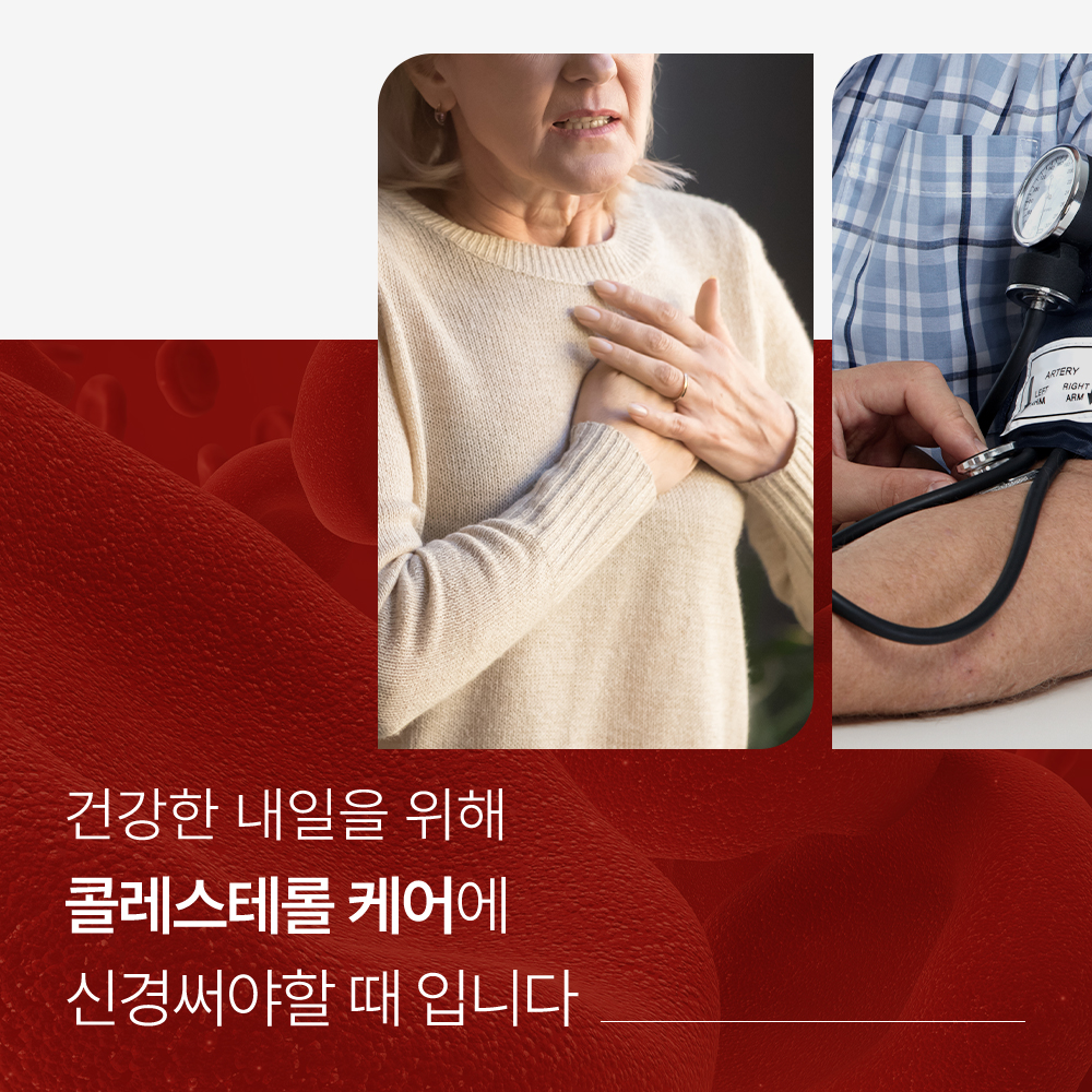 솔티스 콜레스테롤 HDL LDL 홍국 밀크씨슬 아연 30캡슐 이미지 2