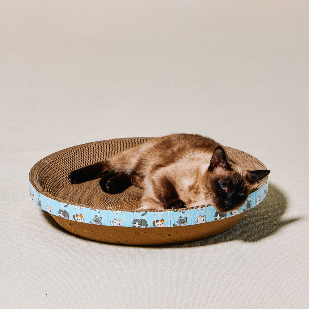 개과천선 어몽드 글램 고양이 스크래쳐 평판형 골판지 발톱 관리 스트레스 해소 소파 방석 이미지 6