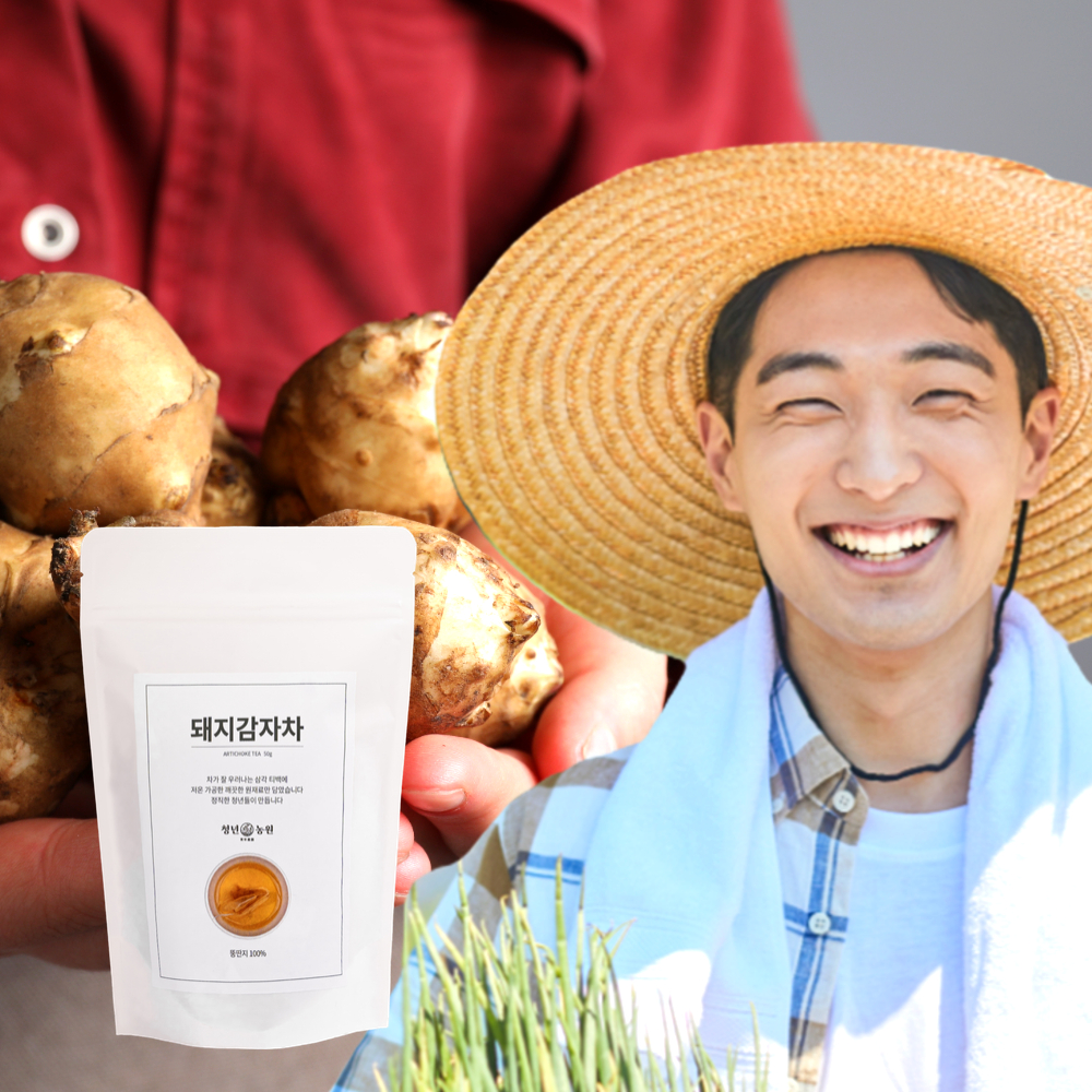 돼지감자차 돼지감자 효능 임산부 차 뚱딴지 티백 볶은 자색 돼지감자