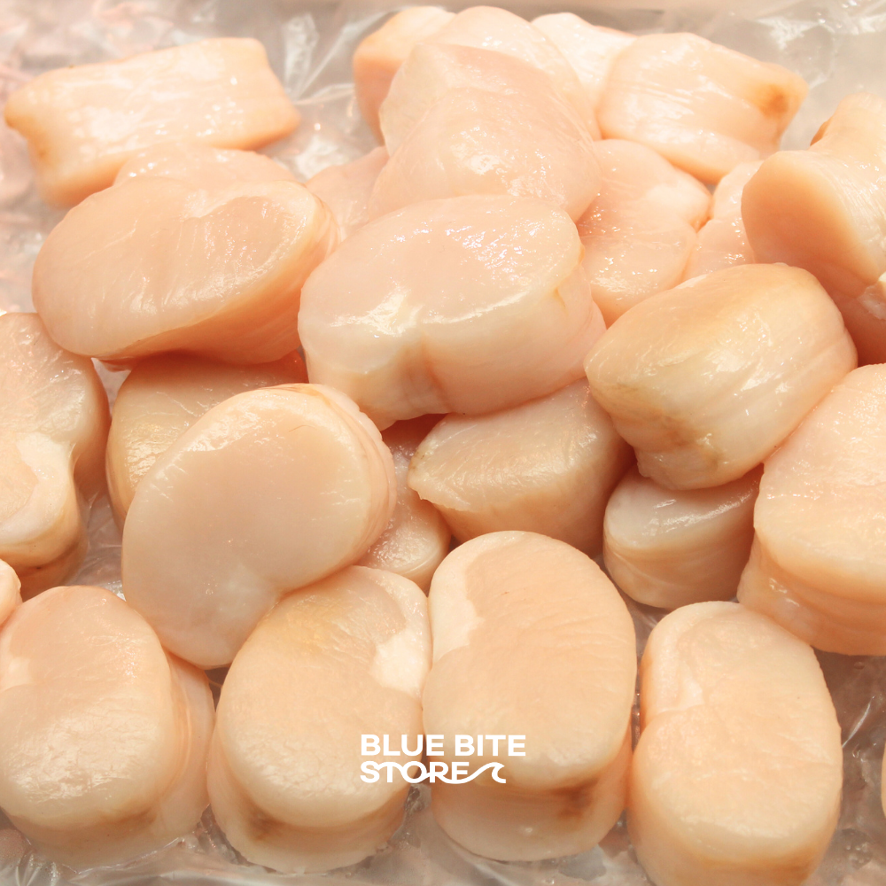 자연산 키조개관자 1kg 급냉 냉동 개아지살