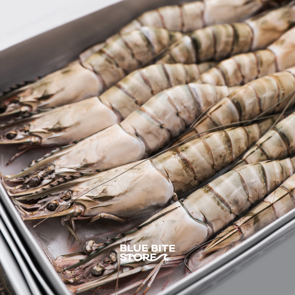 블랙타이거새우 500g 특대 냉동