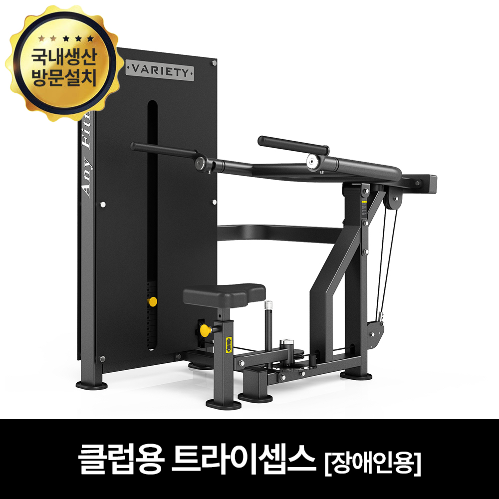 핏분 트라이셉스 디핑머신 장애인용 상체운동 헬스 재활운동기구 국내생산 웨이트 등운동 - 메인 이미지