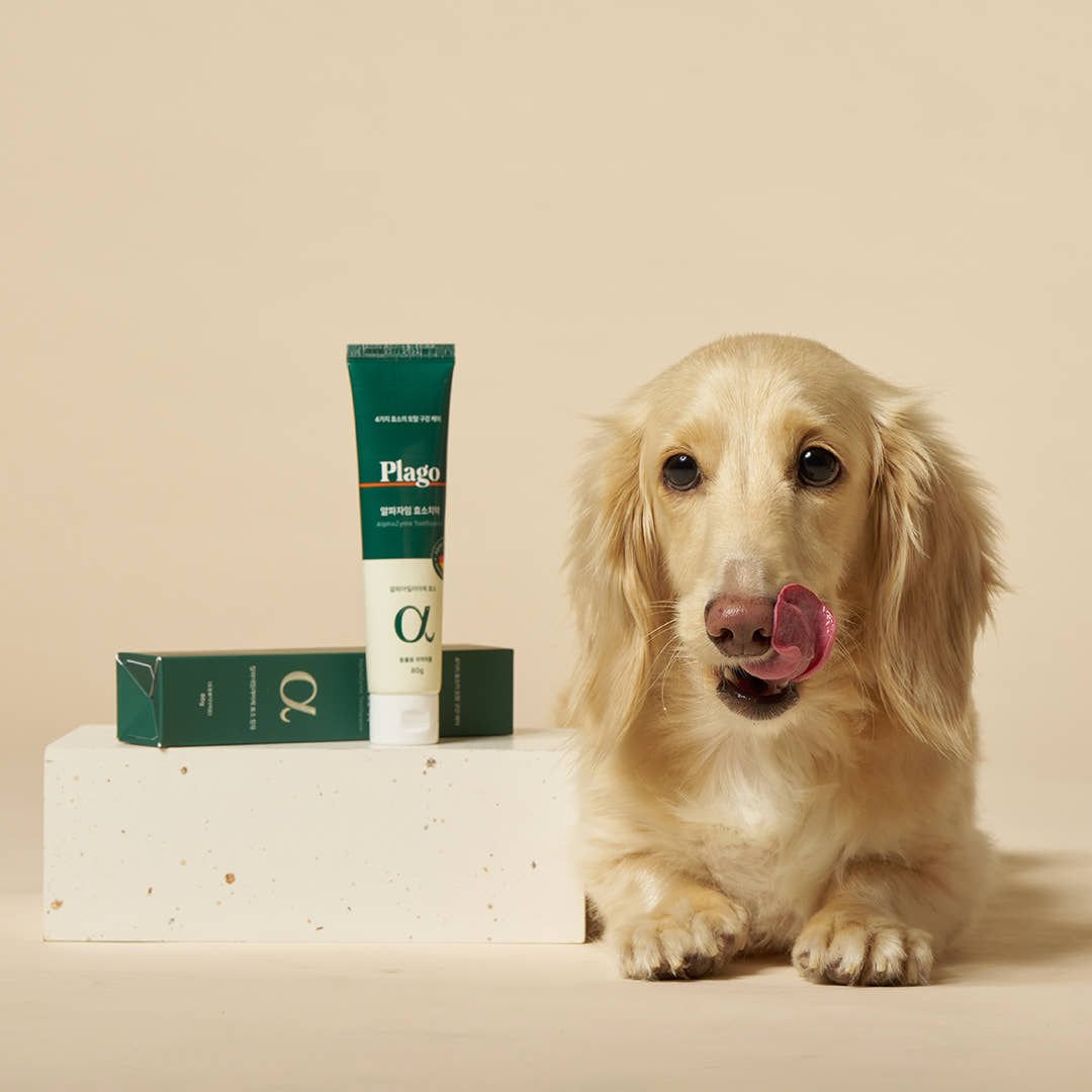 플라고 알파자임 강아지 고양이 효소 치약 닭고기맛 입냄새 치석 제거 80g, 1개 이미지 2