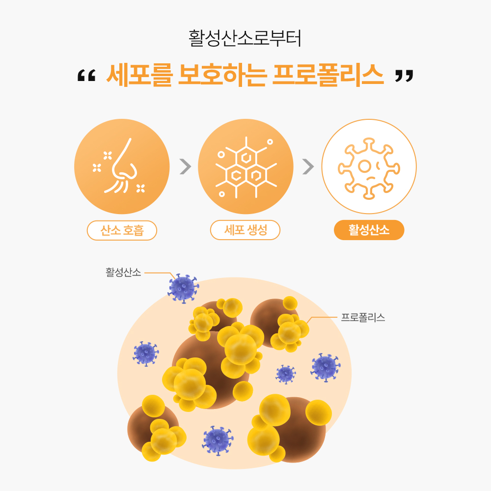 솔티스 프로폴리스 프로 아연 항산화 면역 기능 비타민 30캡슐, 2개 - 상세 이미지 3