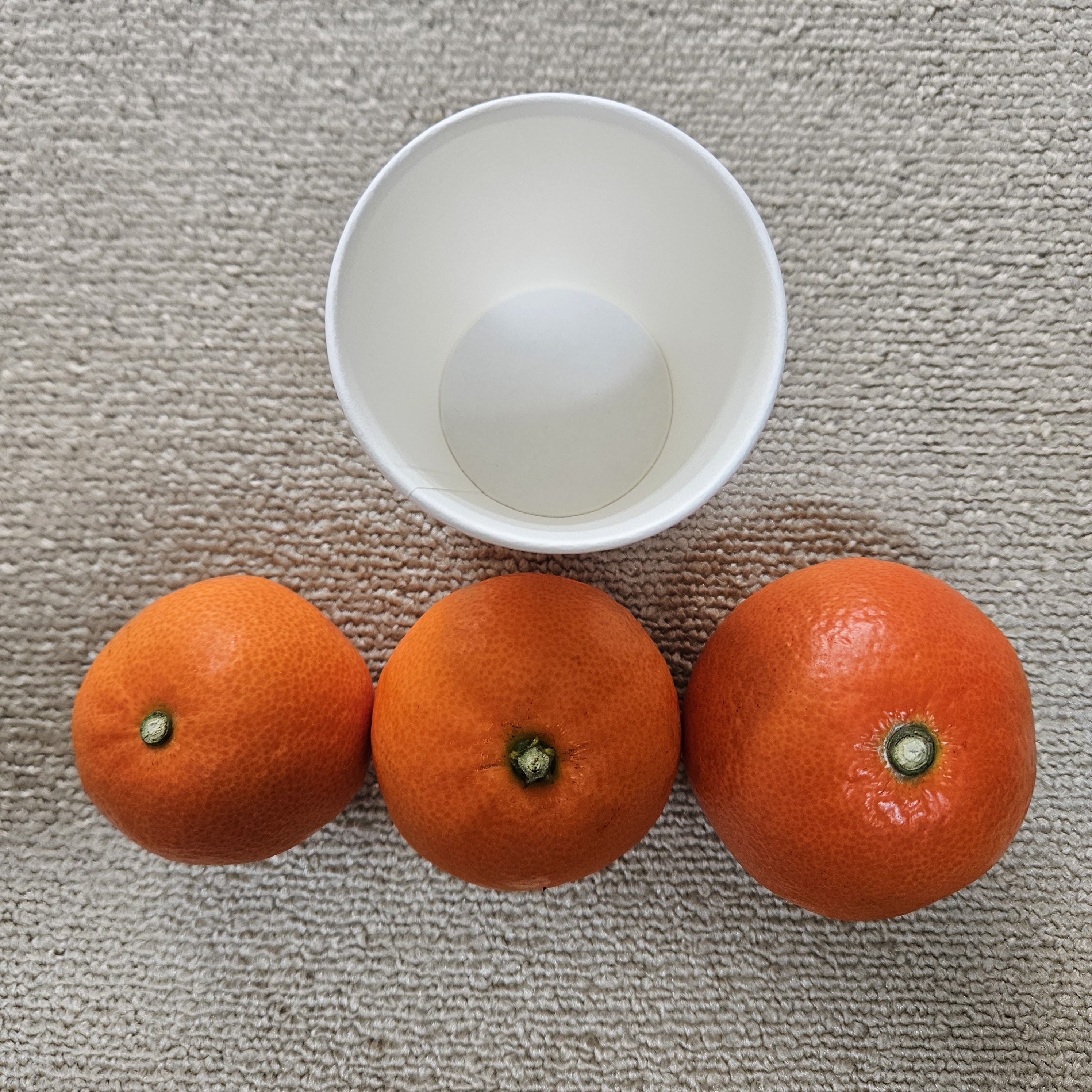 제주 홍미향 동백향 빨간 귤 13Brix, 4.5kg, 1개 - 상세 이미지 3