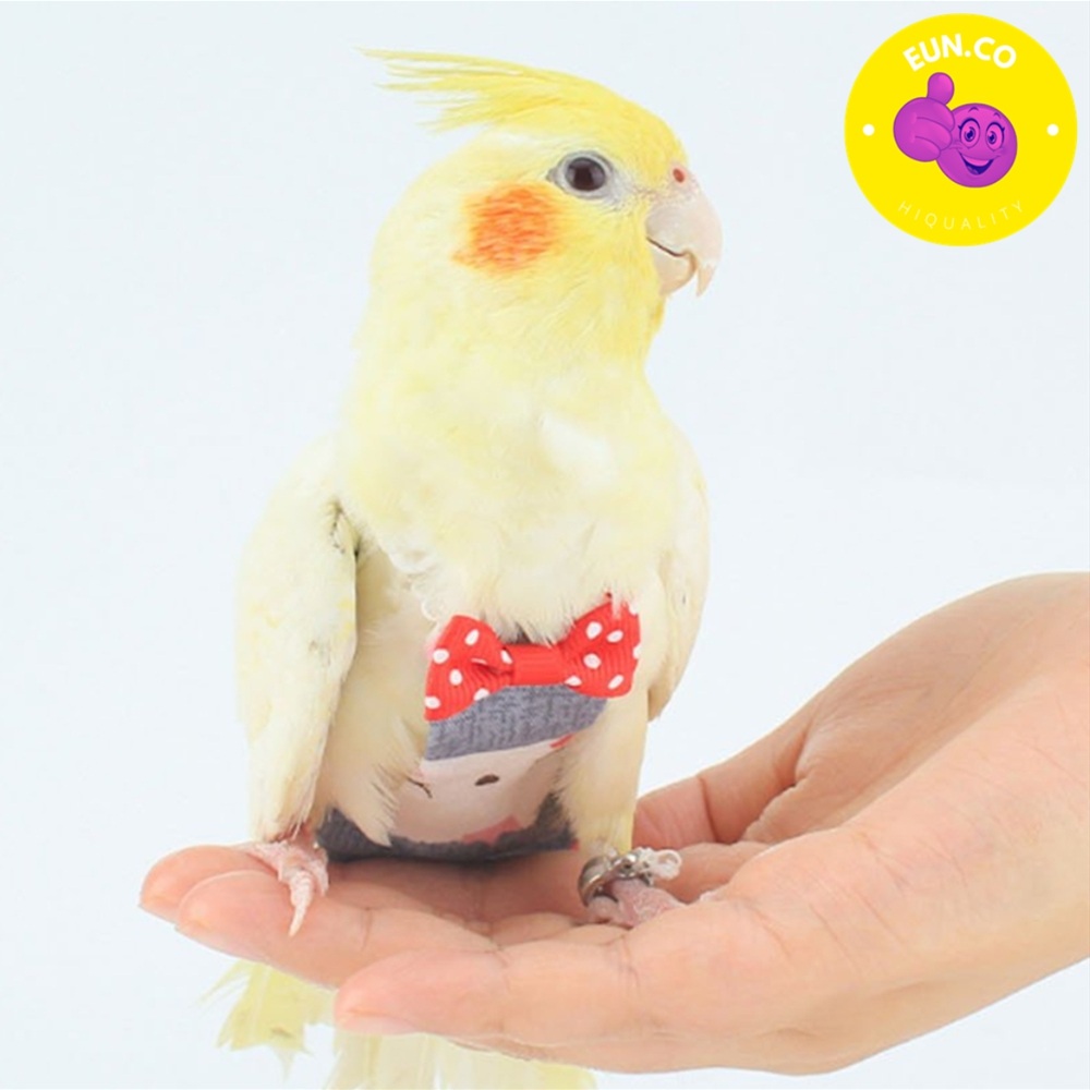 앵무새 기저귀 새키우기 조류 옷 리본 포인트
