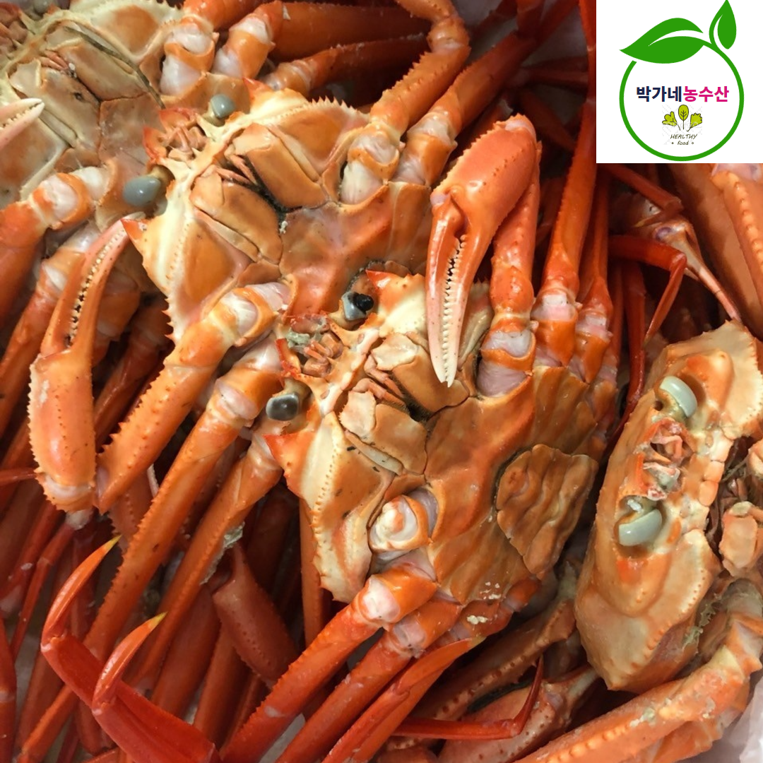 포항 박달 홍게 자숙 제철 자숙홍게 3kg 4kg - 상세 이미지 5