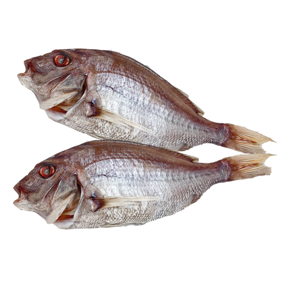 국내산 반건조 생선 참돔 특대 말린 캠핑 제수용 제사 상 부모님 선물 어버이날